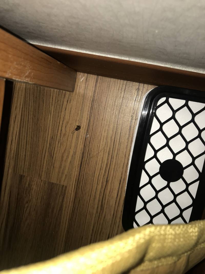 익들아 이거 바선생이야?? (혐오주의) | 인스티즈