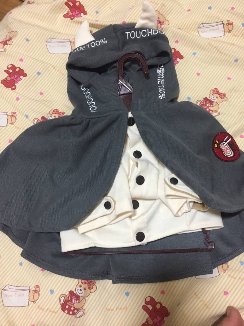 우리댕댕이 옷샀당4040 | 인스티즈