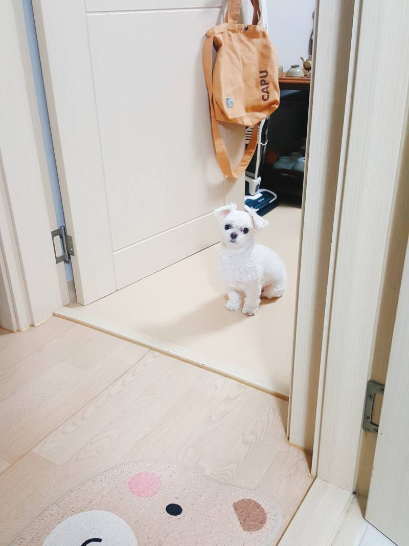 내가 우리집 동생 때문에 소변대변을 잘 못 누겠어.... | 인스티즈