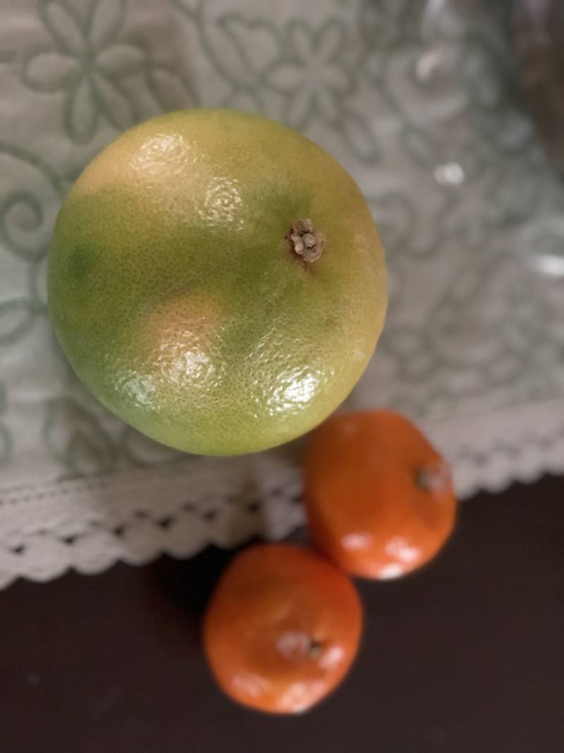 🍋이 과일 이름 아는 익인이🍋 | 인스티즈