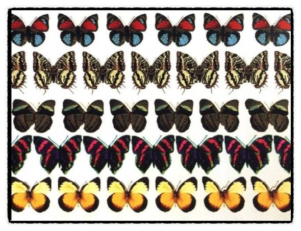 하..매직아이에서 빠져나올수없다..너무 재밌어.. | 인스티즈