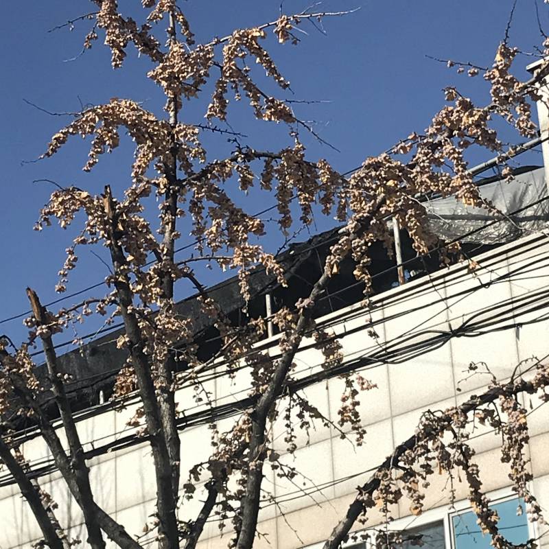 와 이거 진ㅋ자 폭탄밭이다 | 인스티즈