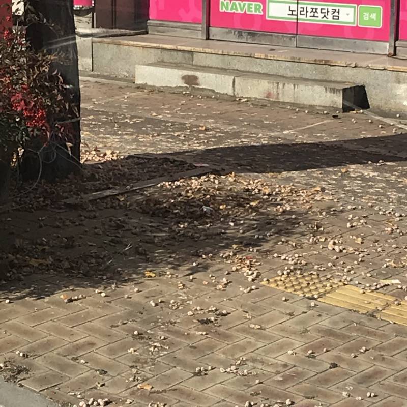 와 이거 진ㅋ자 폭탄밭이다 | 인스티즈