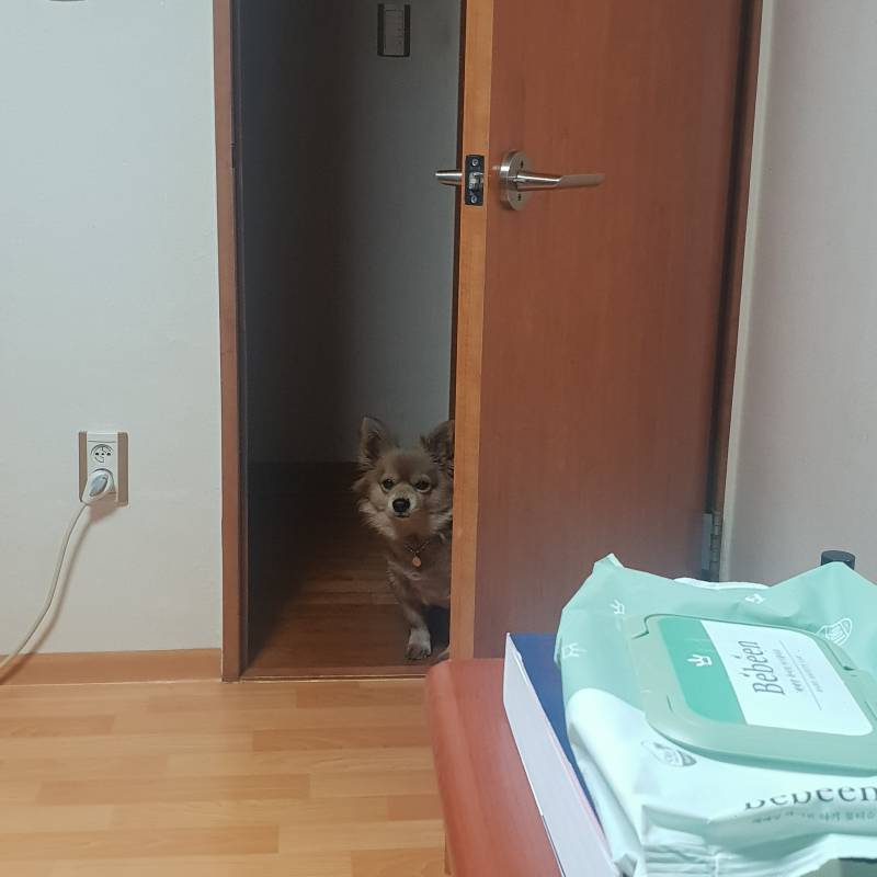 나 과제하는데 누가 자꾸 훔쳐봄ㅠㅠ | 인스티즈