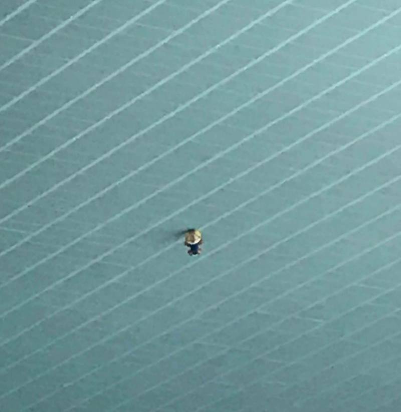 롯데월드 천장에 뽀로로있어 ㅋㅋㅋㅋㅋㅋㅋㅋㅋㅋㅋㅋ 40 | 인스티즈