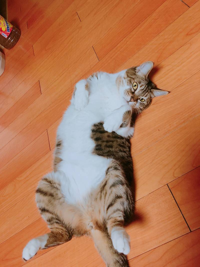 방금 찍은 사진 4040 | 인스티즈