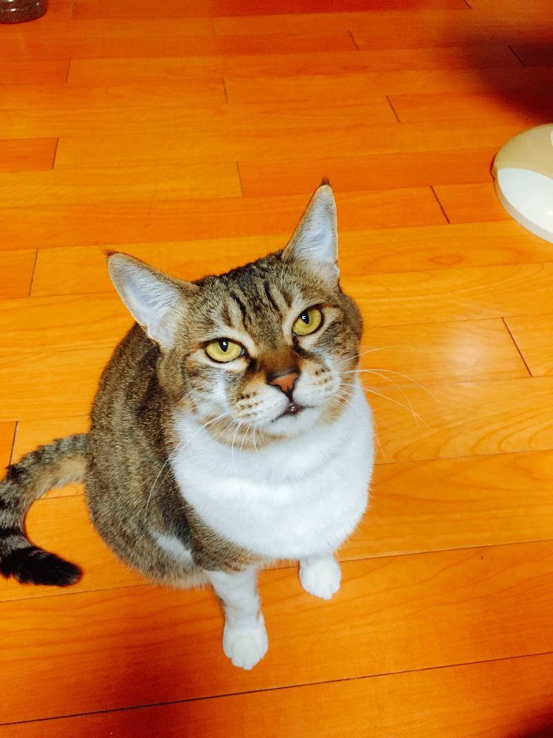 방금 찍은 사진 4040 | 인스티즈