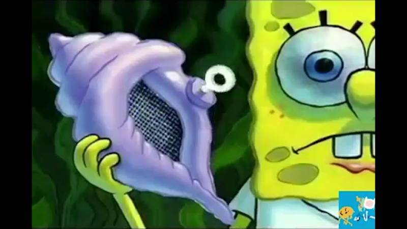 익인이덜이 갖고 있는 현웃짤을 풀아보자 | 인스티즈