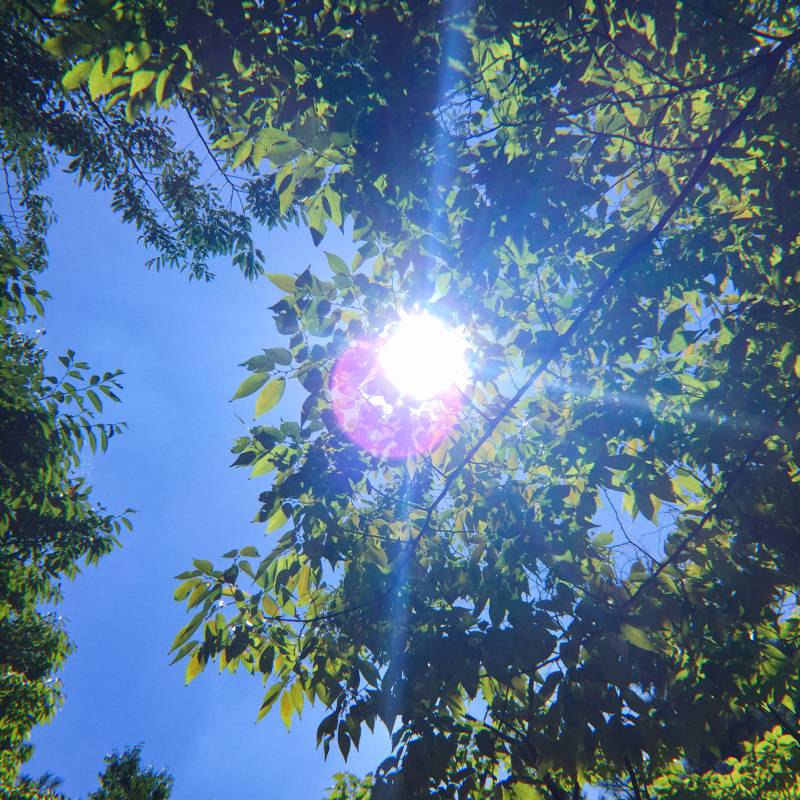 내가 찍은 사진들 좀 봐주라!! | 인스티즈