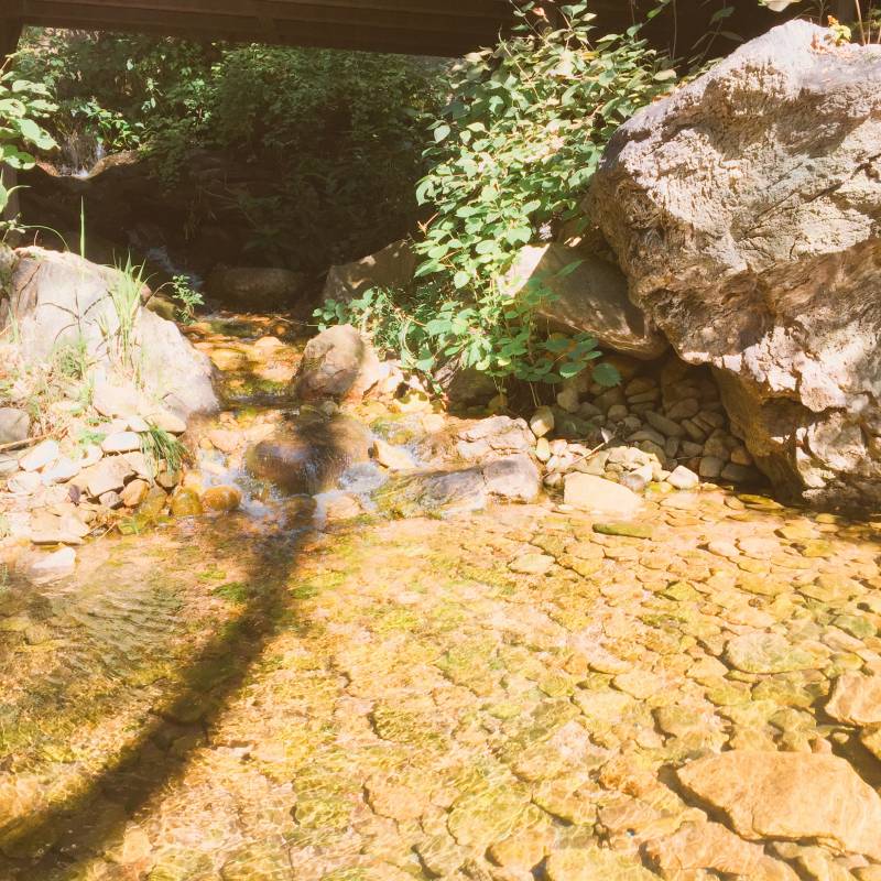 내가 찍은 사진들 좀 봐주라!! | 인스티즈