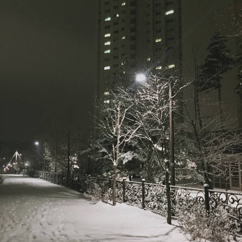 내가 찍은 사진들 좀 봐주라!! | 인스티즈