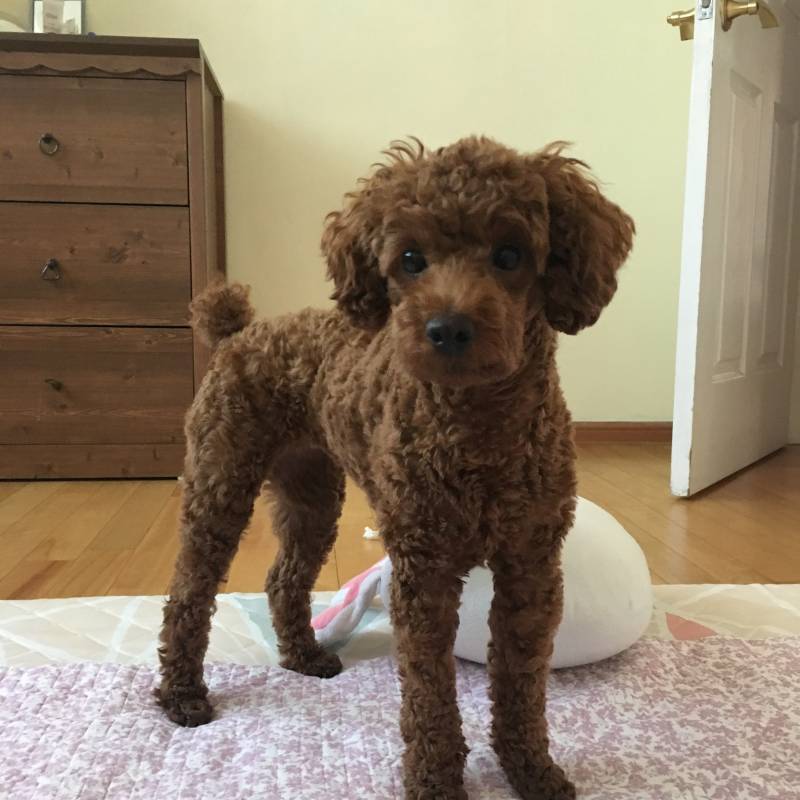 몇살이게 404040 | 인스티즈