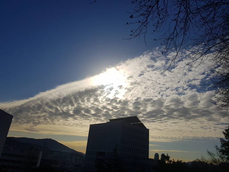 구름 되게 특이하다 | 인스티즈