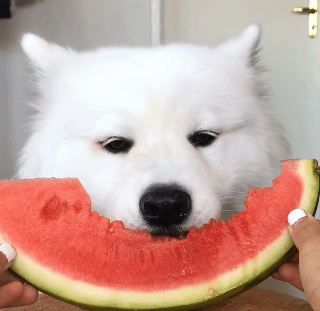 애기 너무 귀여워ㅠㅠㅠㅠㅠㅠㅠ | 인스티즈