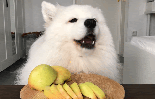 애기 너무 귀여워ㅠㅠㅠㅠㅠㅠㅠ | 인스티즈