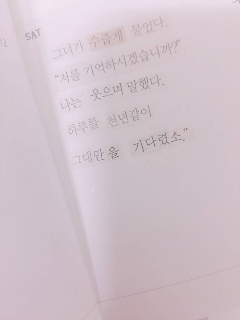 누구에게나 추천하는 쓰니의 소소한 취미40💜 | 인스티즈
