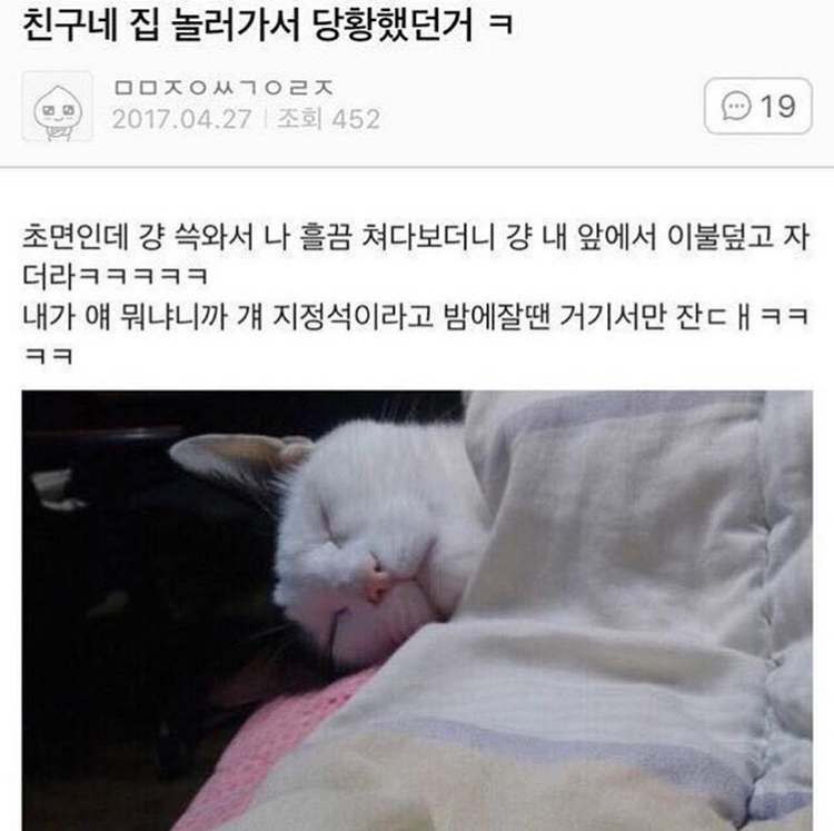 쓰니가 좋아하는 웃긴 짤 모음.jpg (데이터주의) | 인스티즈