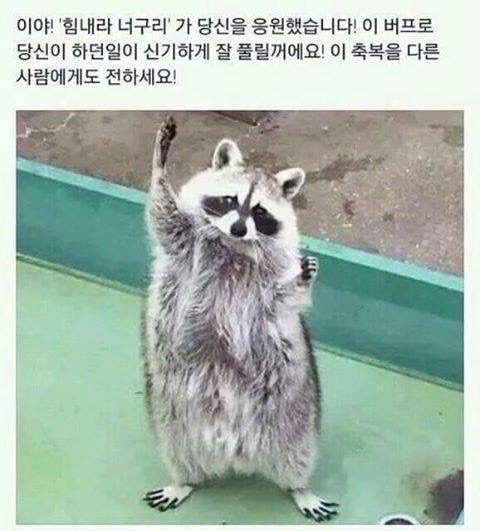 쓰니가 좋아하는 웃긴 짤 모음.jpg (데이터주의) | 인스티즈