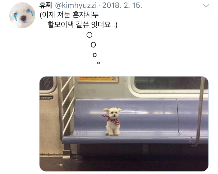 쓰니가 좋아하는 웃긴 짤 모음.jpg (데이터주의) | 인스티즈