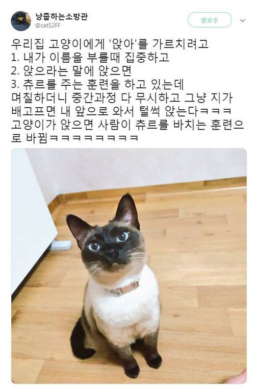 쓰니가 좋아하는 웃긴 짤 모음.jpg (데이터주의) | 인스티즈