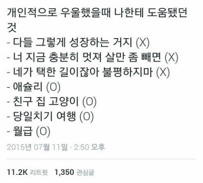 쓰니가 좋아하는 웃긴 짤 모음.jpg (데이터주의) | 인스티즈