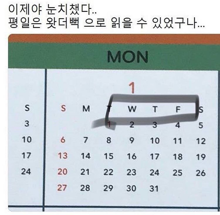 쓰니가 좋아하는 웃긴 짤 모음.jpg (데이터주의) | 인스티즈