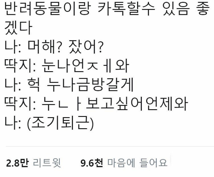 쓰니가 좋아하는 웃긴 짤 모음.jpg (데이터주의) | 인스티즈