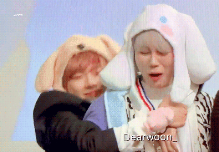 ㄱ 핓클) 녤운러 어디가써.. 모두 녤운을 보자! | 인스티즈