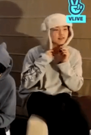 다들 호시 아이돌력 쩌는 끼부리는 애로만 알고있는데 | 인스티즈