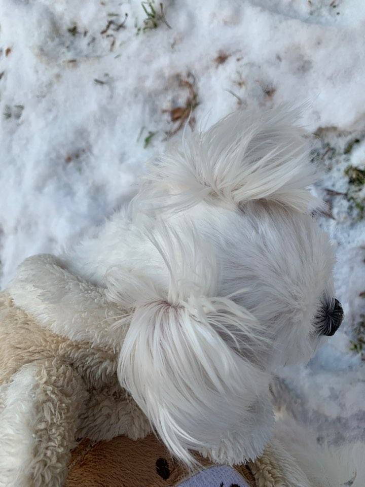 자기 안 주고 누나 혼자 먹어서 속상한 내 동생 40 | 인스티즈