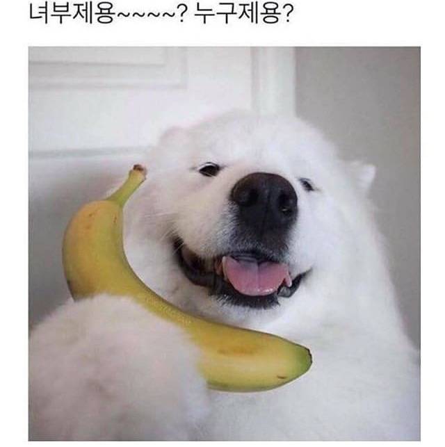 이거너무귀여유ㅓ | 인스티즈