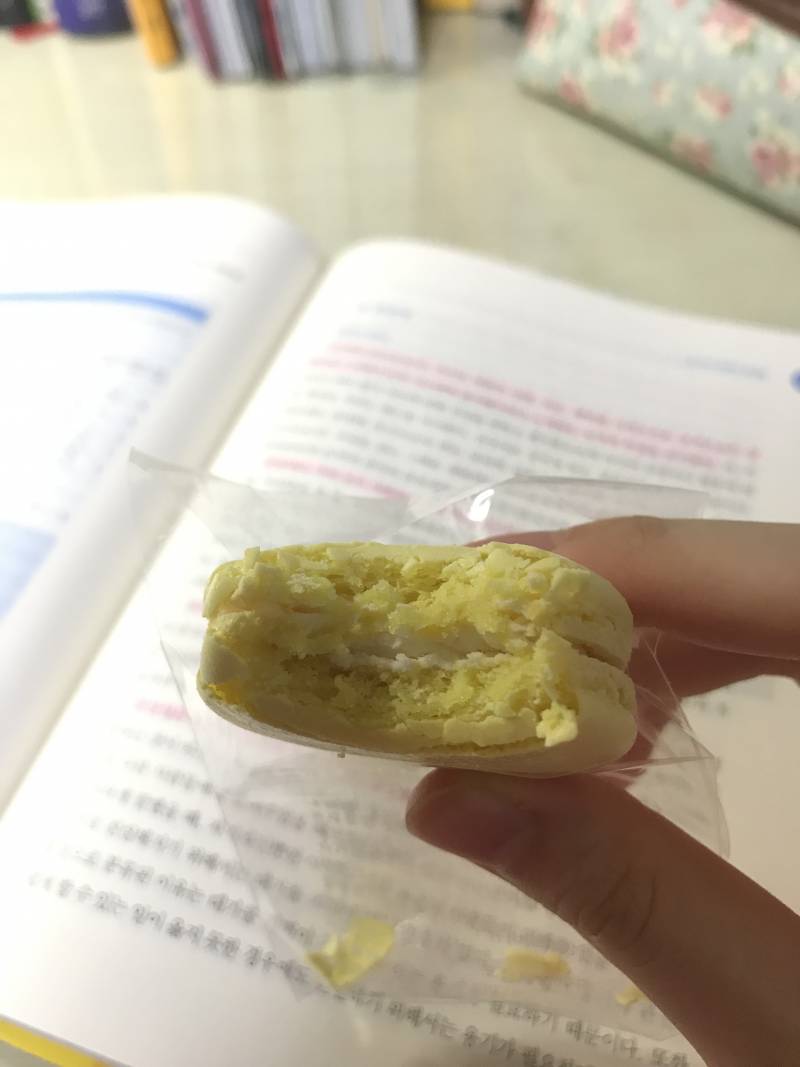 마카롱과 함께하는 교양공부 | 인스티즈