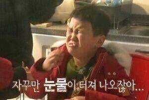 우리 이웃집 애기들은 나한테 왜구래ㅠㅠ | 인스티즈