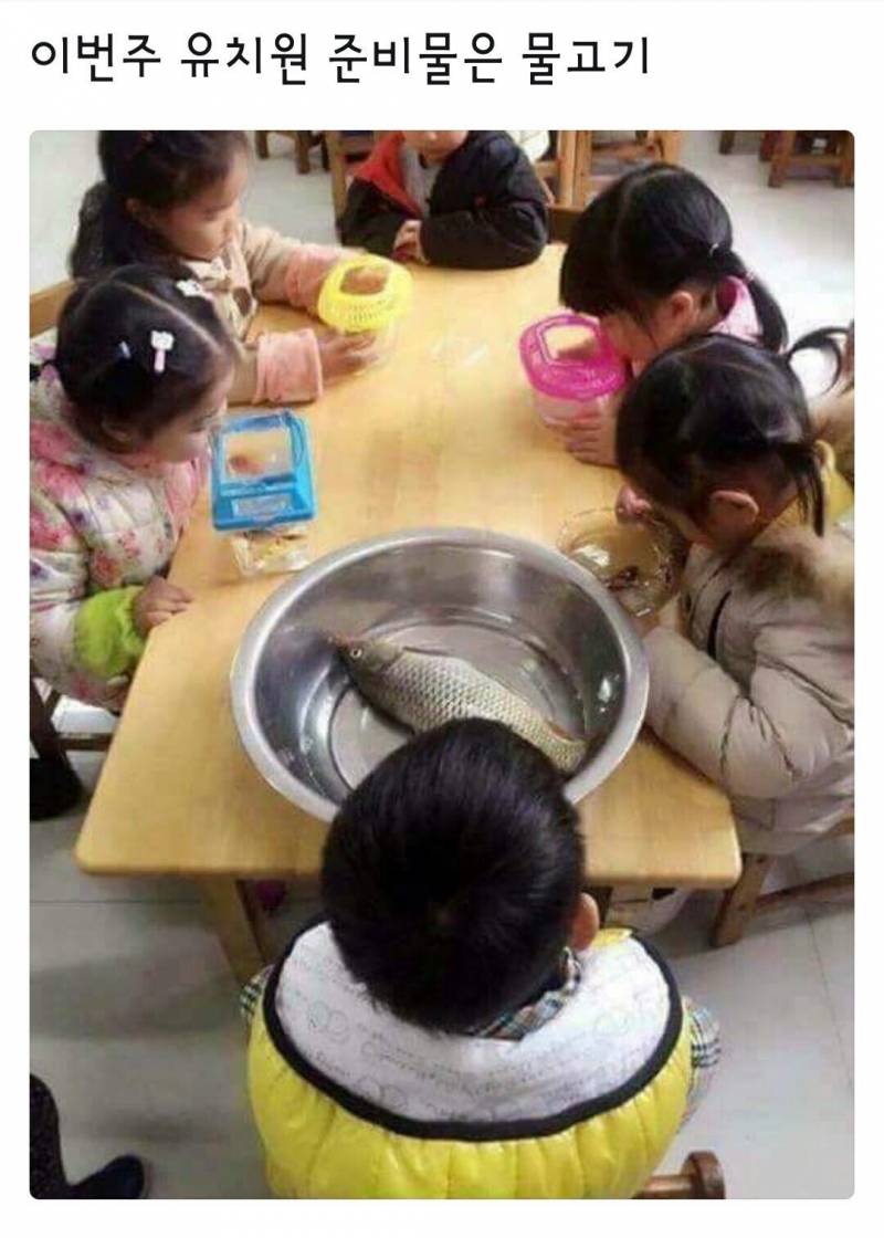 ㅋㅋㅋㅋㅋㅋㅋㅋㅋㅋㅋ이거 너무 웃겨 | 인스티즈