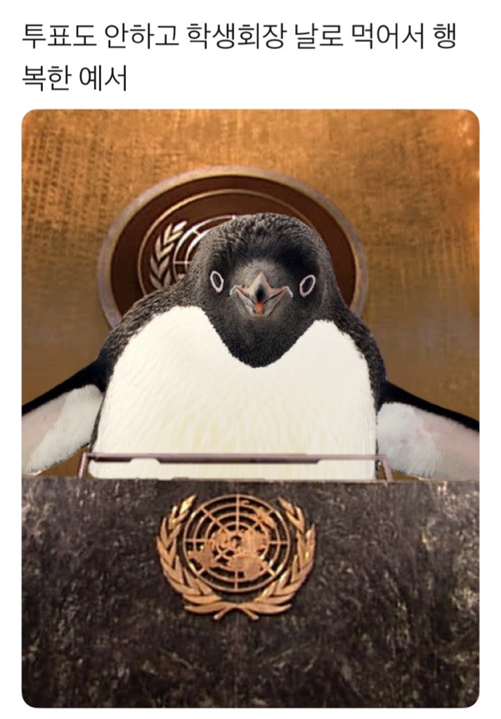 나 이거 보고 진짜 울었어 | 인스티즈