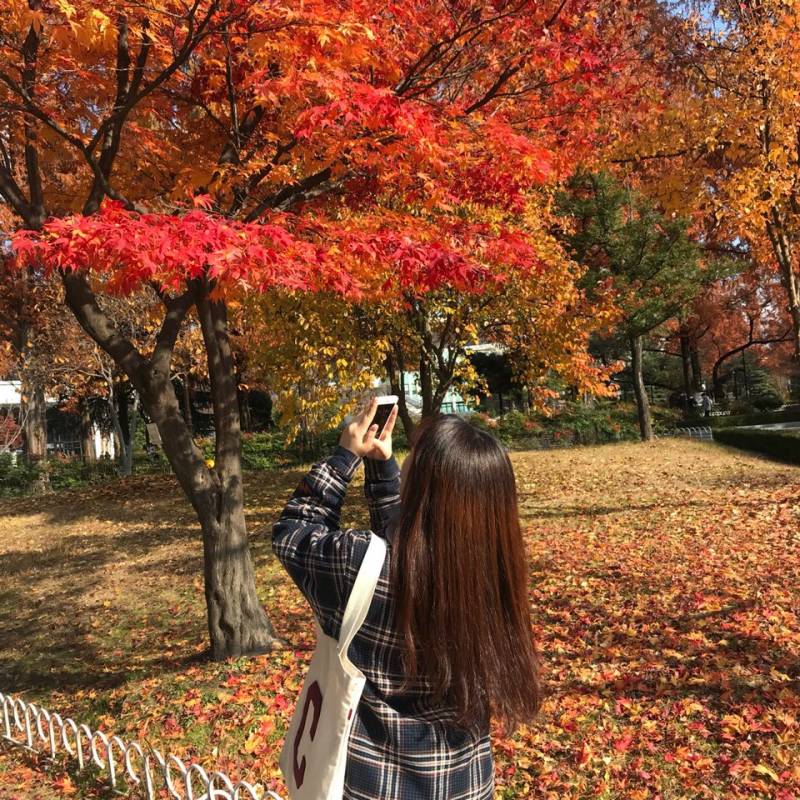 집에서 셀프머리자르기+염색40 | 인스티즈