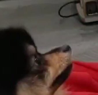 ㄱ 탄이 앞에서 연애하는 뷔민 | 인스티즈