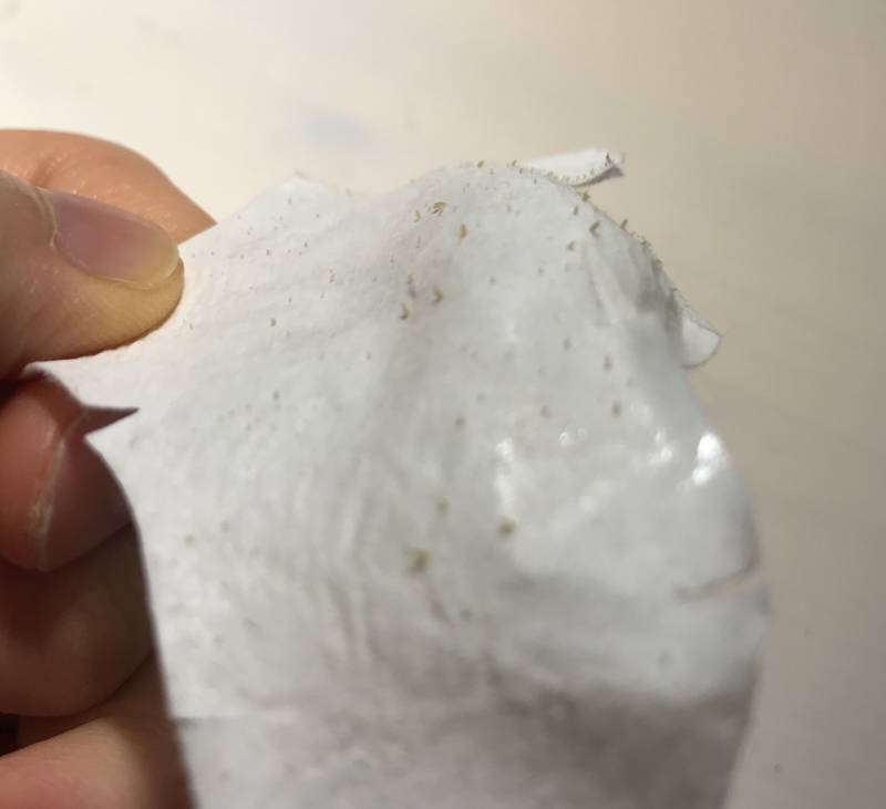 코팩했는 데 나온 것 봐...4040 | 인스티즈