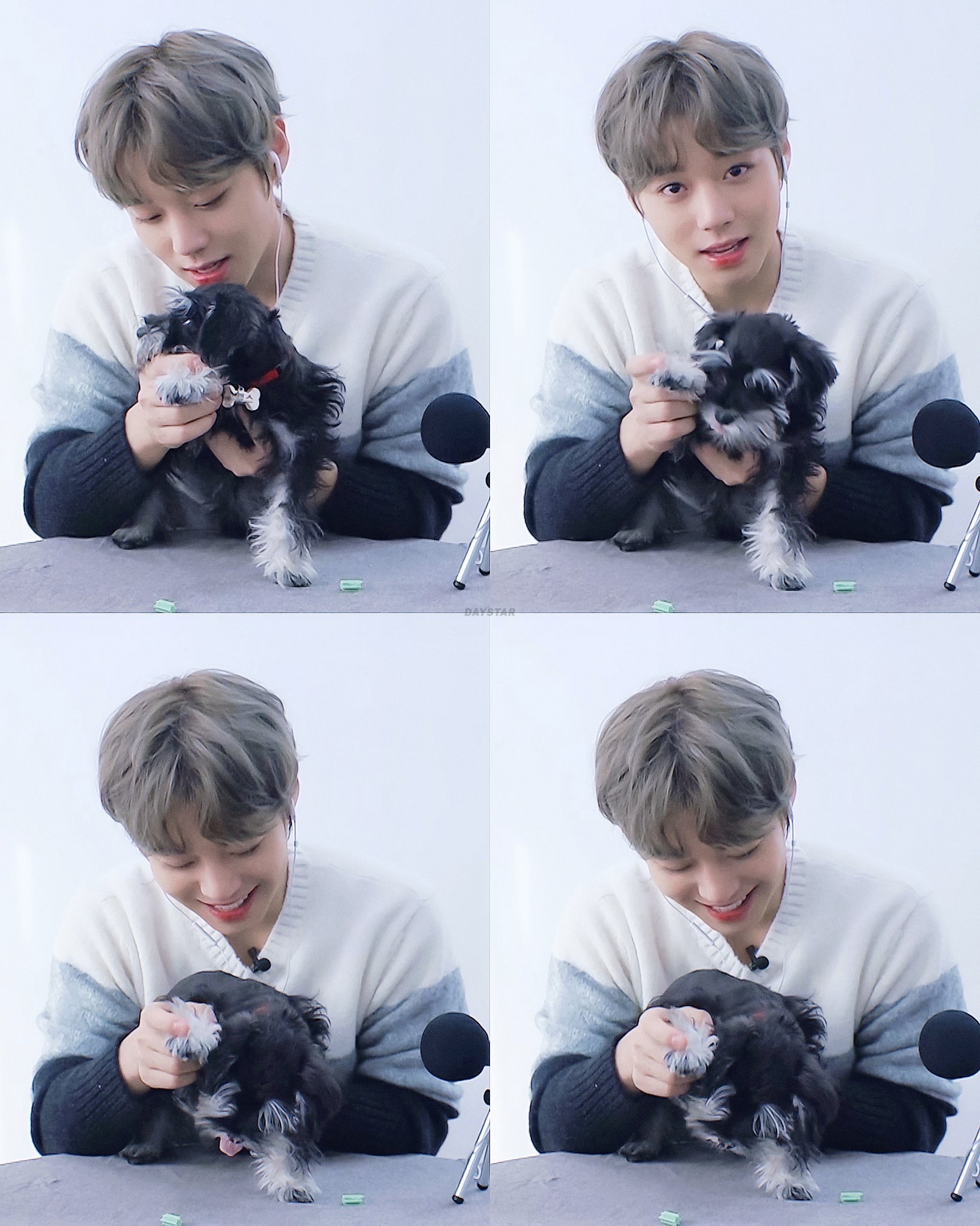 자기 강아지 보면서 현실 웃음짓는 박지훈 보고 가자 | 인스티즈