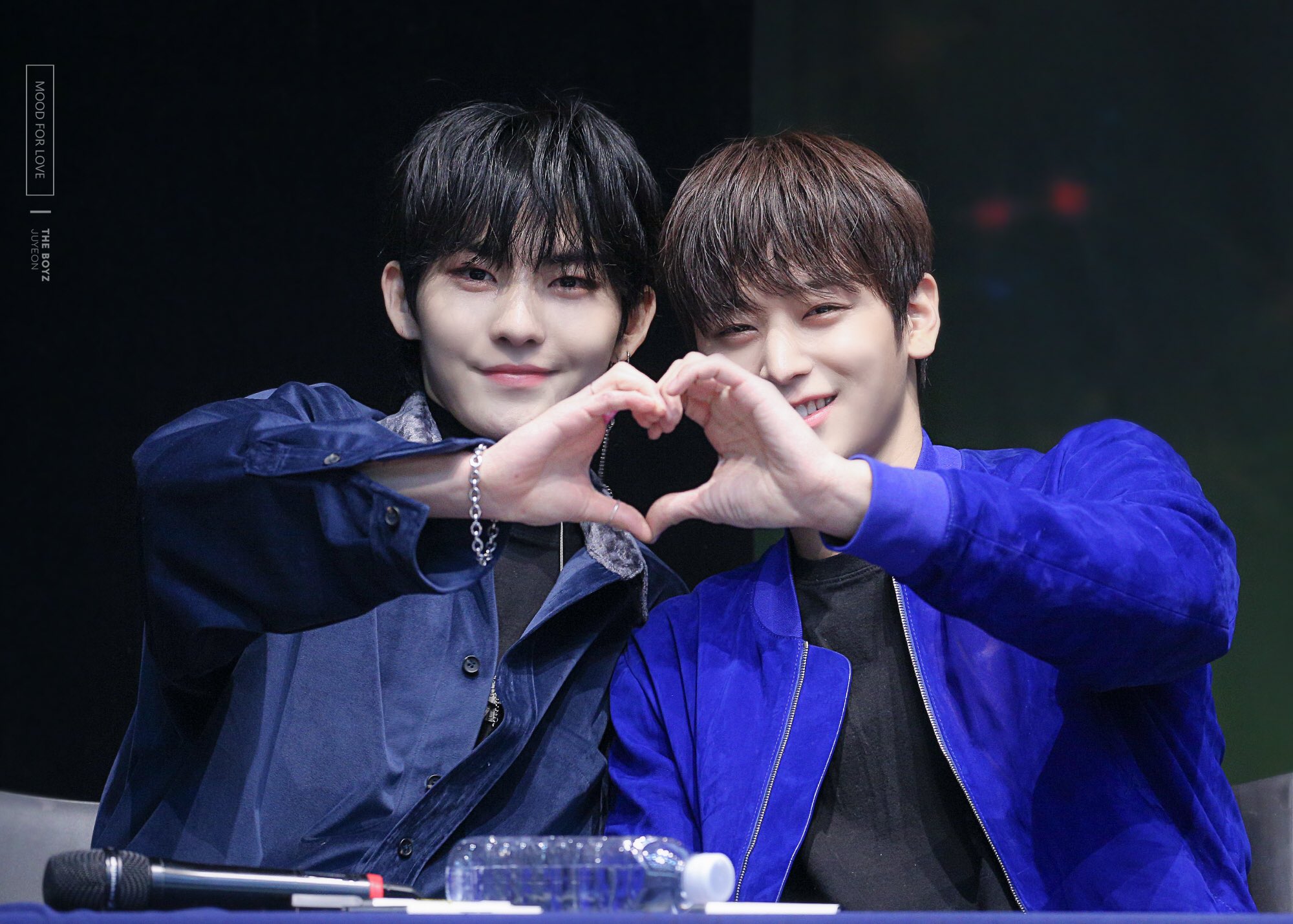 다들 본진의 애옹이🐱를 자랑해주세요 | 인스티즈