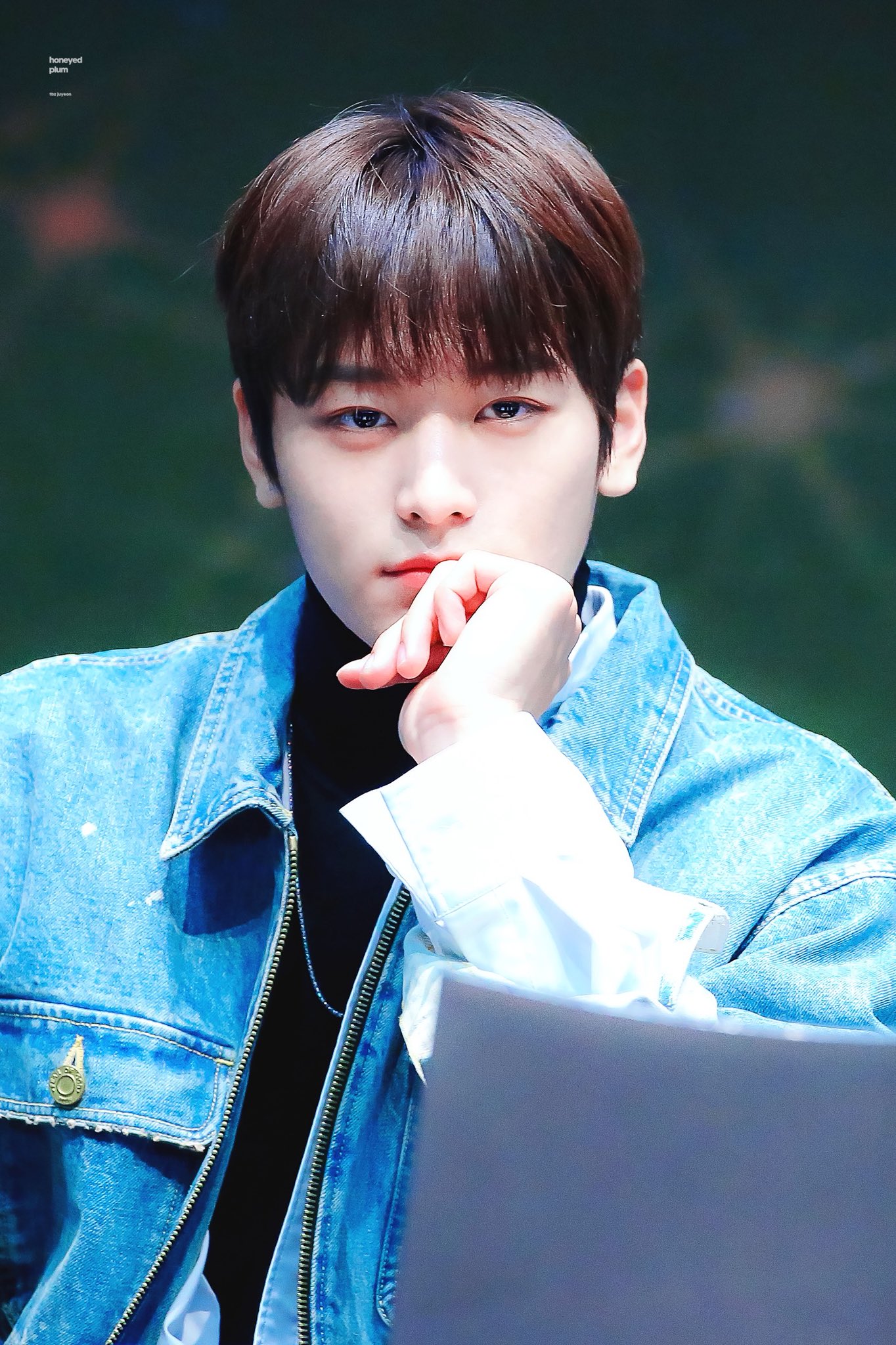 다들 본진의 애옹이🐱를 자랑해주세요 | 인스티즈