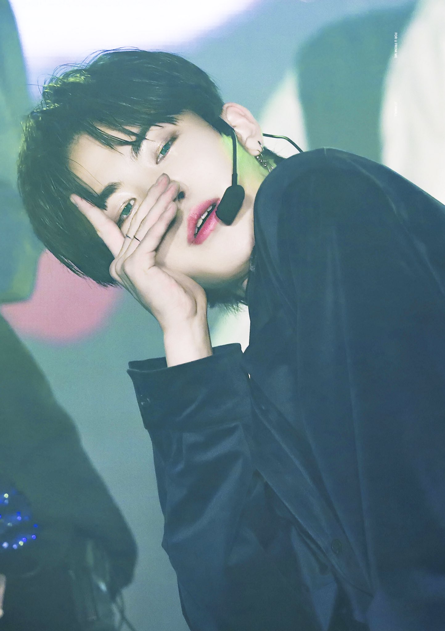 다들 본진의 애옹이🐱를 자랑해주세요 | 인스티즈