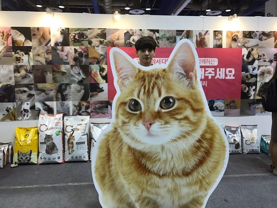 춘 이제 진짜 안팔건데.. 잘생기긴 잘생겼다 | 인스티즈