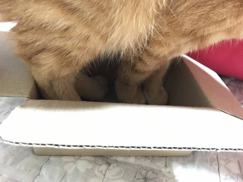 너가 거기에 들어갈 수 있다고 생각하니? ㅋㅋㅋㅋㅋ̄̈ㅋ꙼̈ㅋ̆̎ㅋ̐̈ | 인스티즈