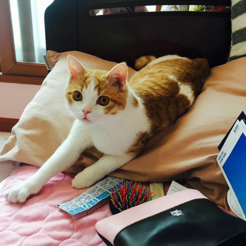 살찐거봐,,,40 | 인스티즈