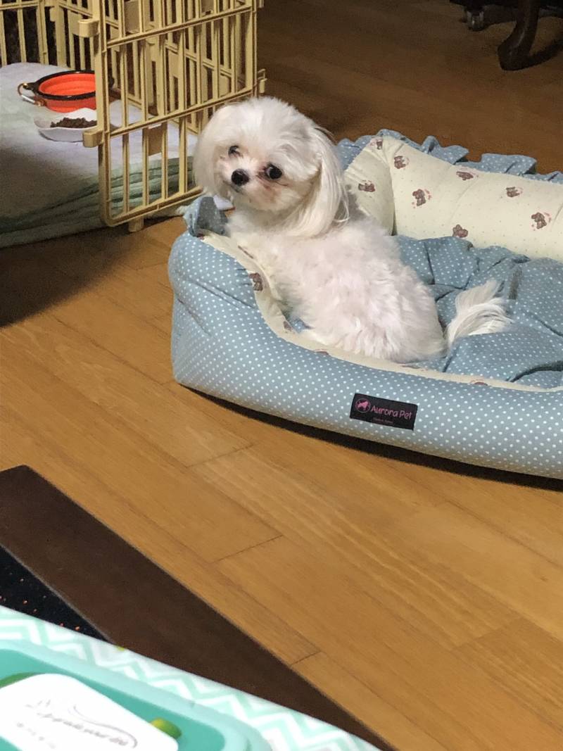 떡볶이 안 줘서 삐졌는데 | 인스티즈