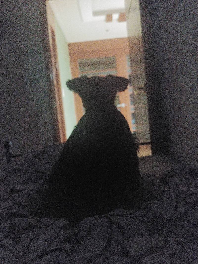 무ㅏ야 나 자다가 무거워ㅜㅅ서깼눈데 | 인스티즈