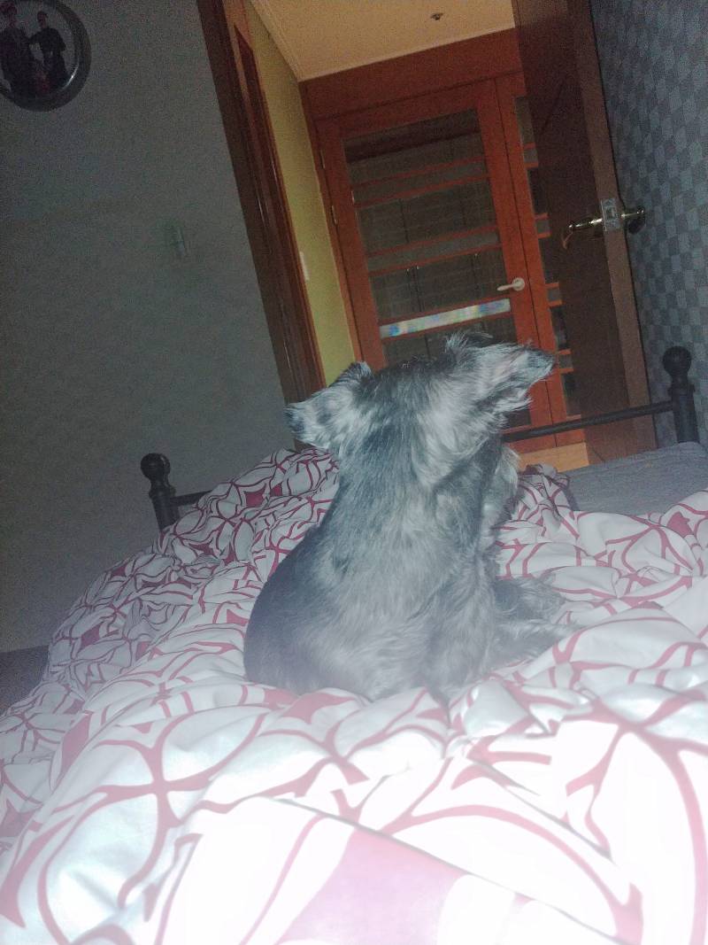 무ㅏ야 나 자다가 무거워ㅜㅅ서깼눈데 | 인스티즈