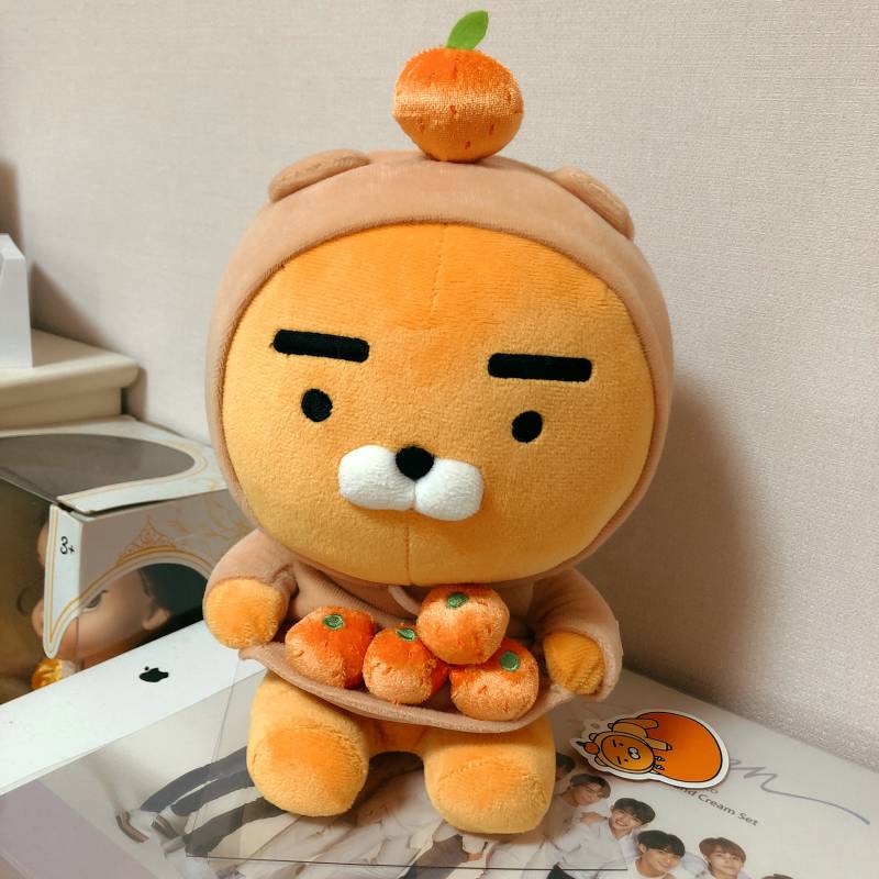 🍊🍊제주 라이언🍊🍊 | 인스티즈