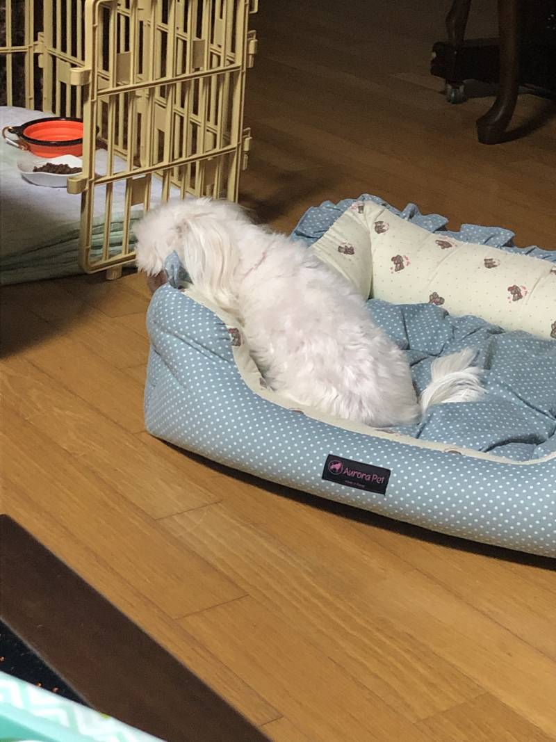 떡볶이 안 줘서 삐졌는데 | 인스티즈